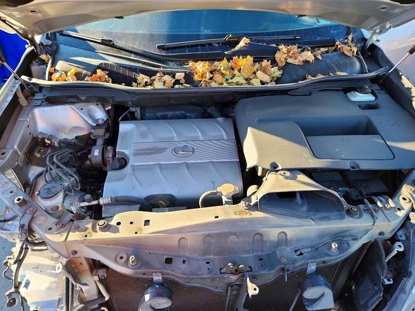 2014 LEXUS RX 350 — Engine bay