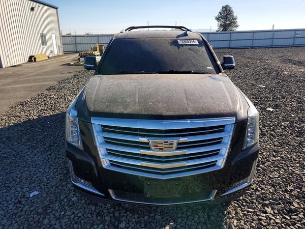 2018 CADILLAC ESCALADE Platinum — DIRF