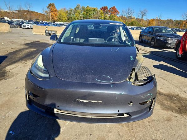 2019 TESLA MODEL 3 — DIRF