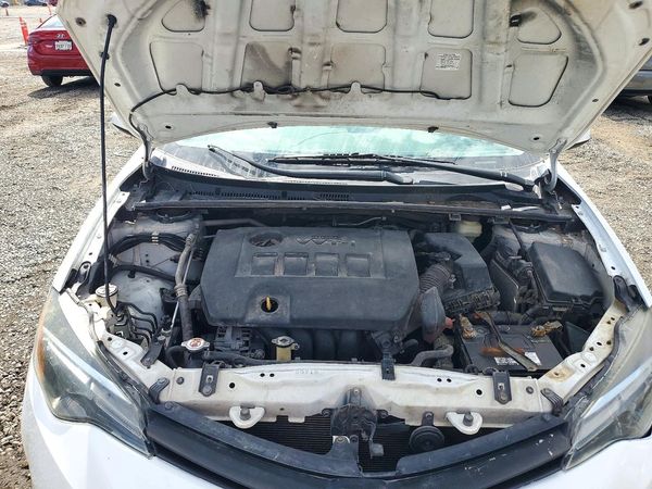 2019 TOYOTA COROLLA L/LE/SE/XLE/XSE — Engine bay