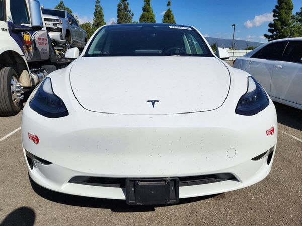 2023 TESLA MODEL Y — DIRF