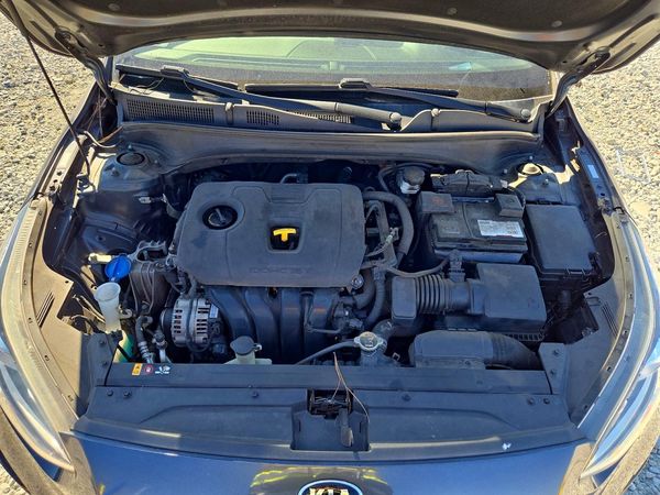 2019 KIA FORTE EX — Engine bay