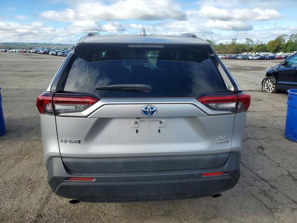 2019 TOYOTA RAV4 — DIRR