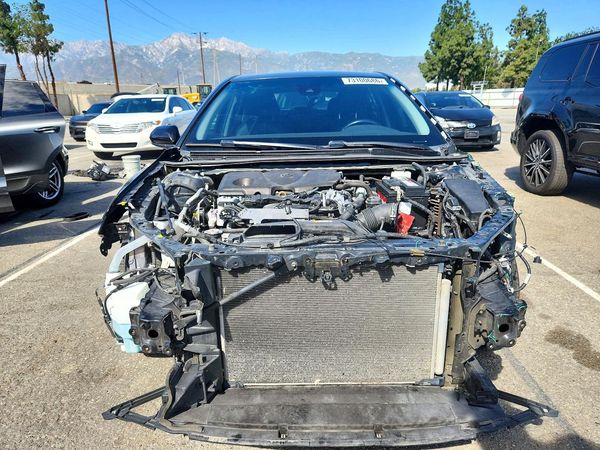 2019 TOYOTA CAMRY L/LE/SE/XLE — DIRF