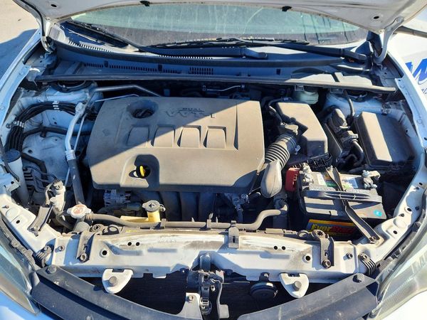 2019 TOYOTA COROLLA L/LE/SE/XLE/XSE — Engine bay