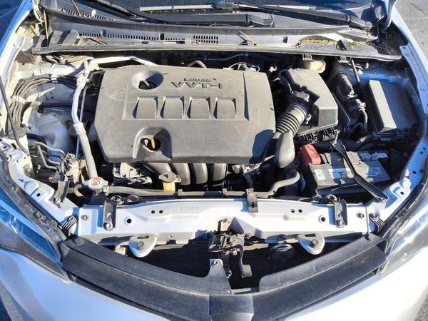 2019 TOYOTA COROLLA L/LE/SE/XLE/XSE — Engine bay