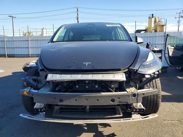 2024 TESLA MODEL Y — DIRF