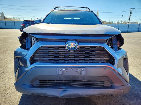 2024 TOYOTA RAV4 XLE — DIRF