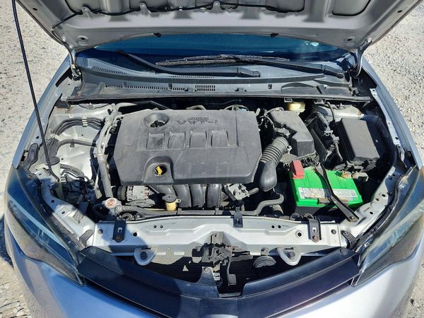 2019 TOYOTA COROLLA L/LE/SE/XLE/XSE — Engine bay