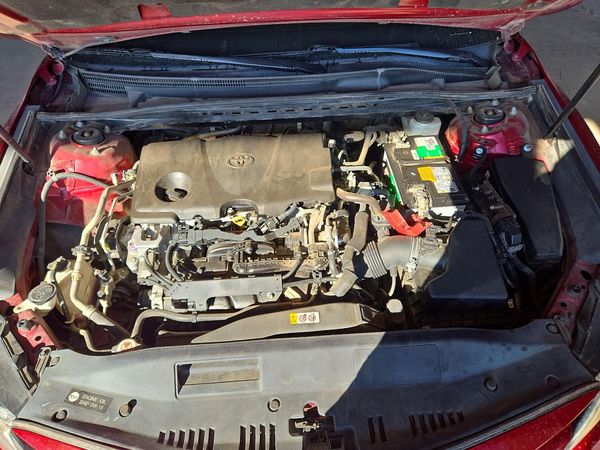 2019 TOYOTA CAMRY L/LE/SE/XLE — Engine bay