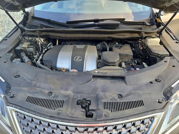 2020 LEXUS RX 350 Premium — Engine bay