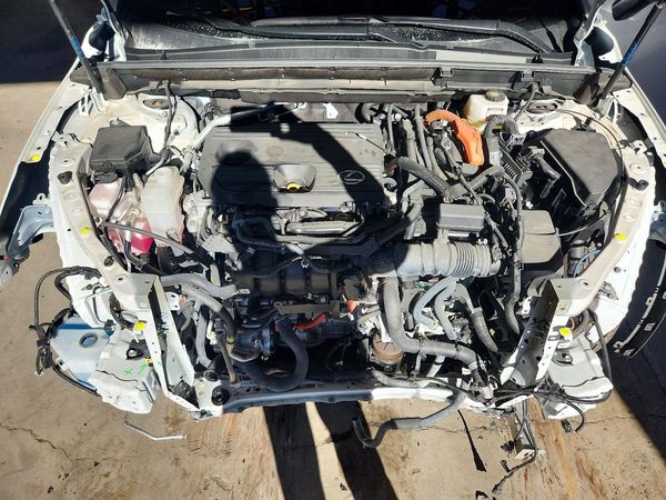 2025 LEXUS NX 350H 350h Premium — Engine bay