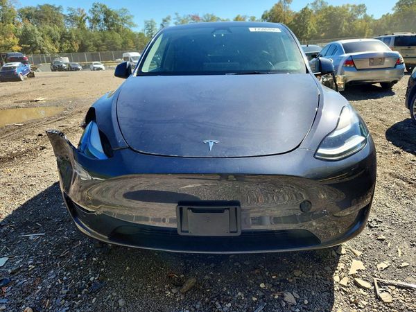 2025 TESLA MODEL Y — DIRF