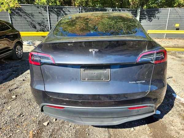 2025 TESLA MODEL Y — DIRR