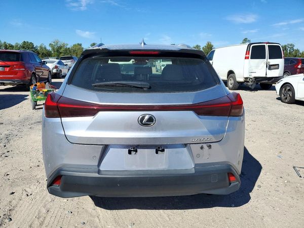2025 LEXUS UX 300H — DIRR