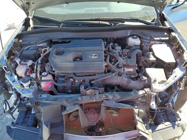 2025 LEXUS UX 300H — Engine bay