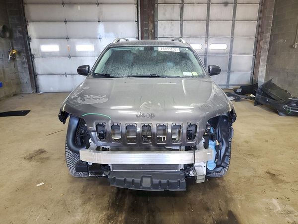 2019 JEEP CHEROKEE Limited — DIRF