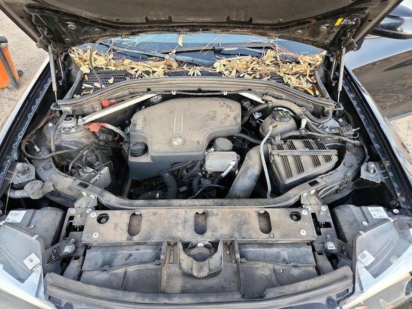 2017 BMW X3 sDrive28i — Engine bay