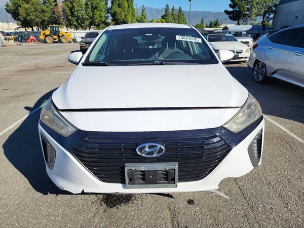 2019 HYUNDAI IONIQ — DIRF