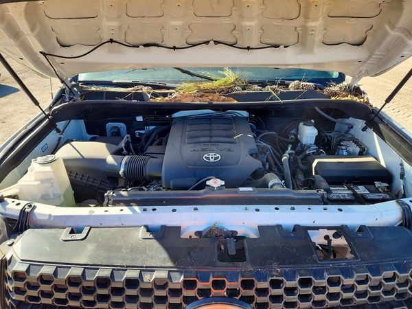 2019 TOYOTA TUNDRA SR5 Grade — Engine bay
