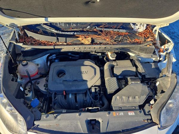 2021 KIA SPORTAGE LX — Engine bay