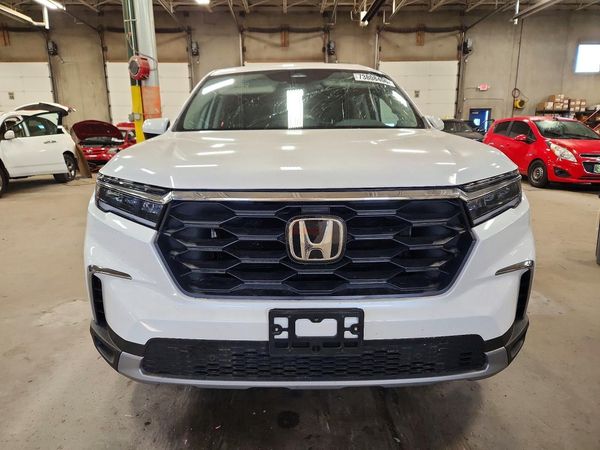 2025 HONDA PILOT EX-L, EX-L HPD — DIRF