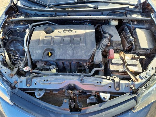 2019 TOYOTA COROLLA L/LE/SE/XLE/XSE — Engine bay