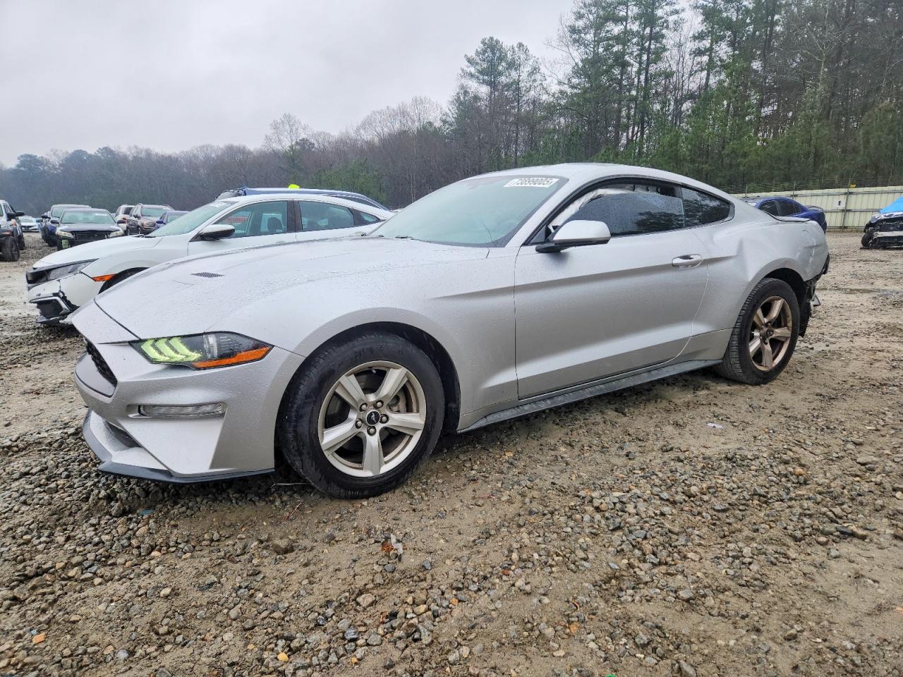 2019 FORD MUSTANG