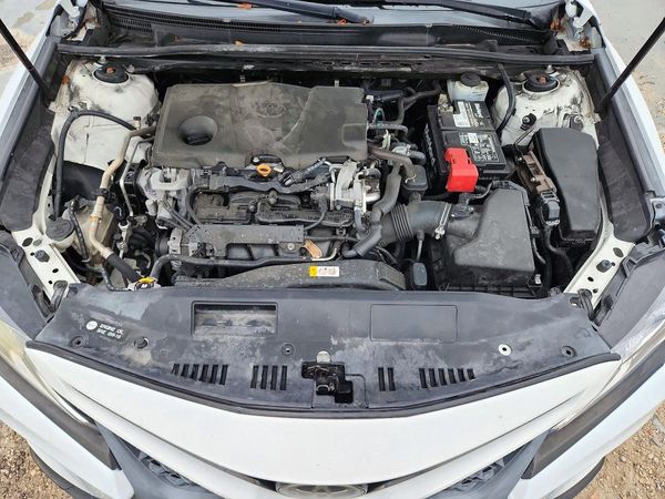 2019 TOYOTA CAMRY L/LE/SE/XLE — Engine bay