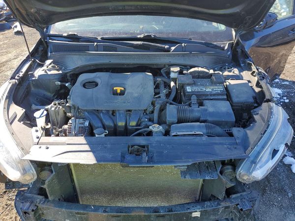 2019 KIA FORTE FE/LX/LXS
