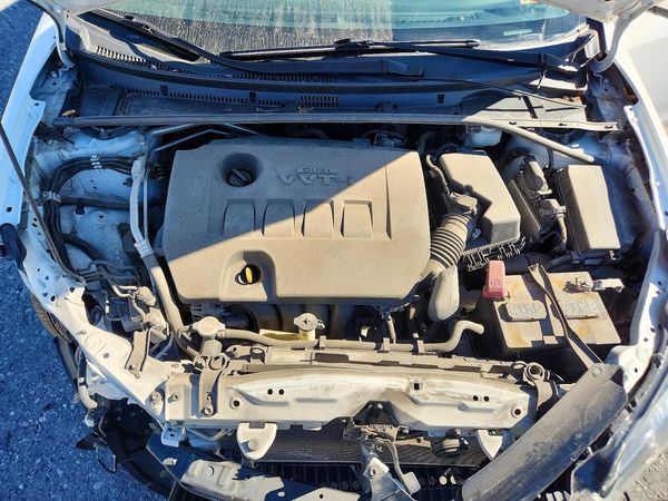2019 TOYOTA COROLLA L/LE/SE/XLE/XSE — Engine bay