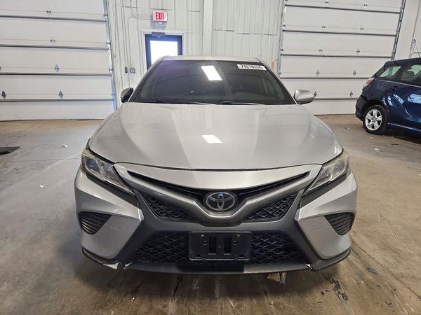 2019 TOYOTA CAMRY L/LE/SE/XLE — DIRF