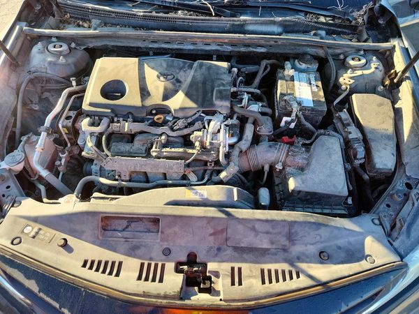 2019 TOYOTA CAMRY L/LE/SE/XLE — Engine bay