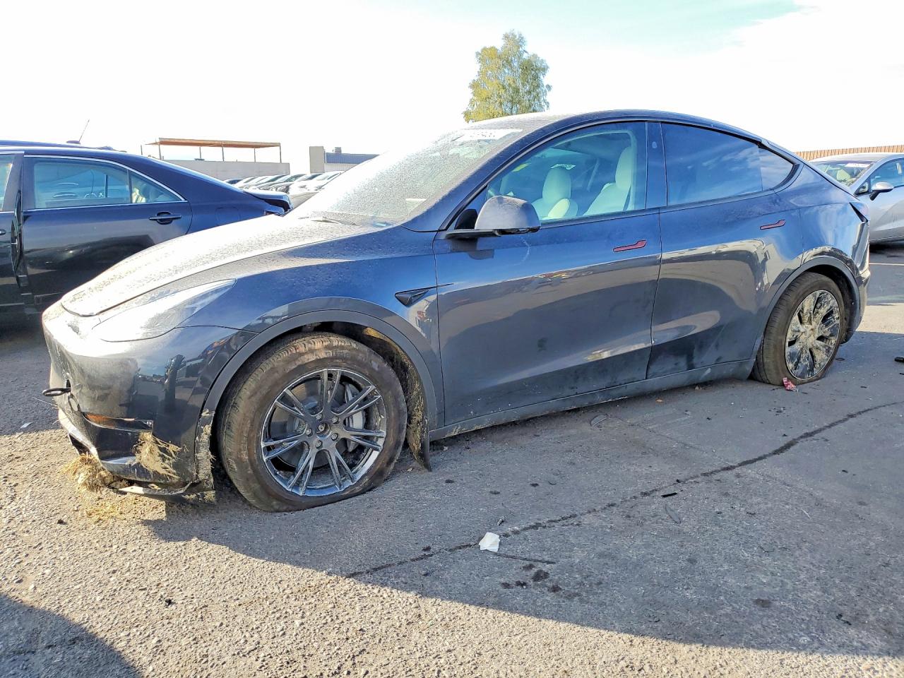 2025 TESLA MODEL Y