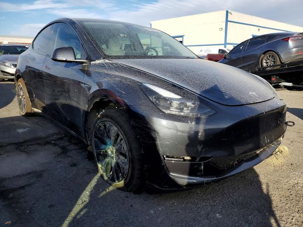 2025 TESLA MODEL Y