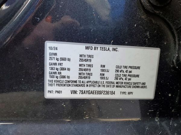 2025 TESLA MODEL Y