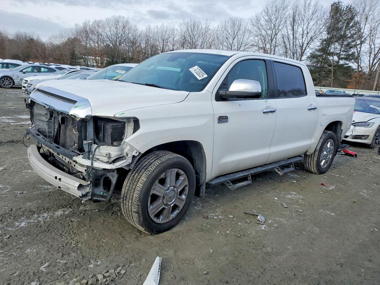 2019 TOYOTA TUNDRA Platinum Grade