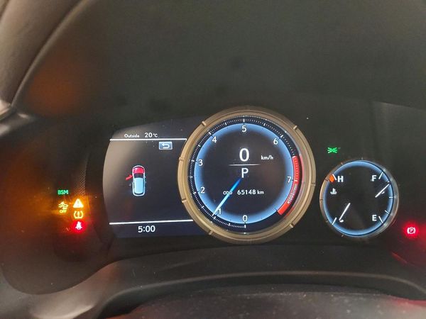 2021 LEXUS RX
