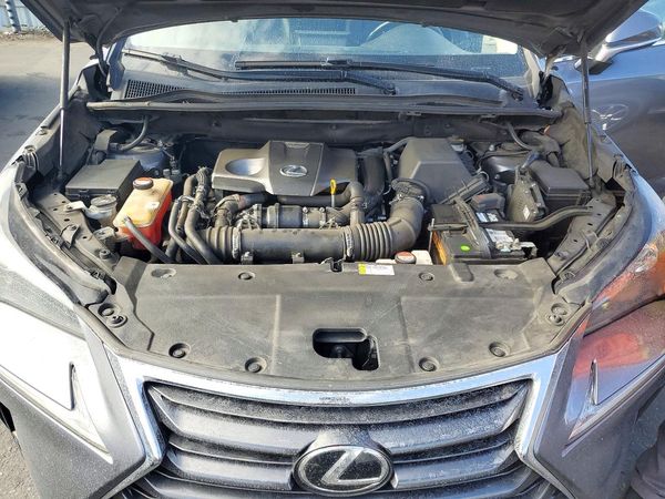 2015 LEXUS NX 200t Luxury — Engine bay
