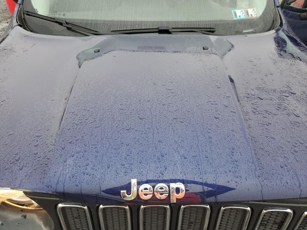 2017 JEEP RENEGADE