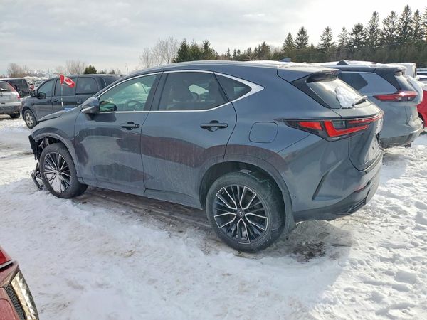2022 LEXUS NX 350h Premium