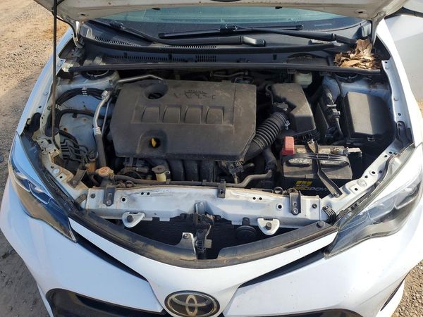 2019 TOYOTA COROLLA L/LE/SE/XLE/XSE