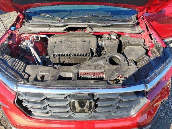 2025 HONDA PILOT EX-L, EX-L HPD