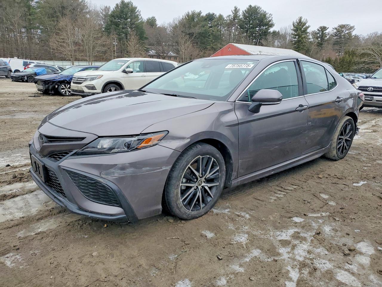 2024 TOYOTA CAMRY SE