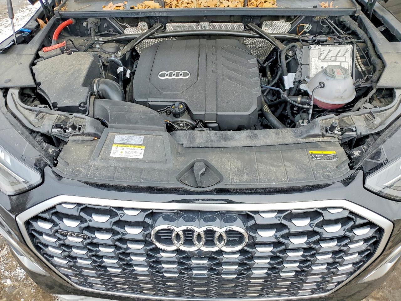 2024 AUDI Q5