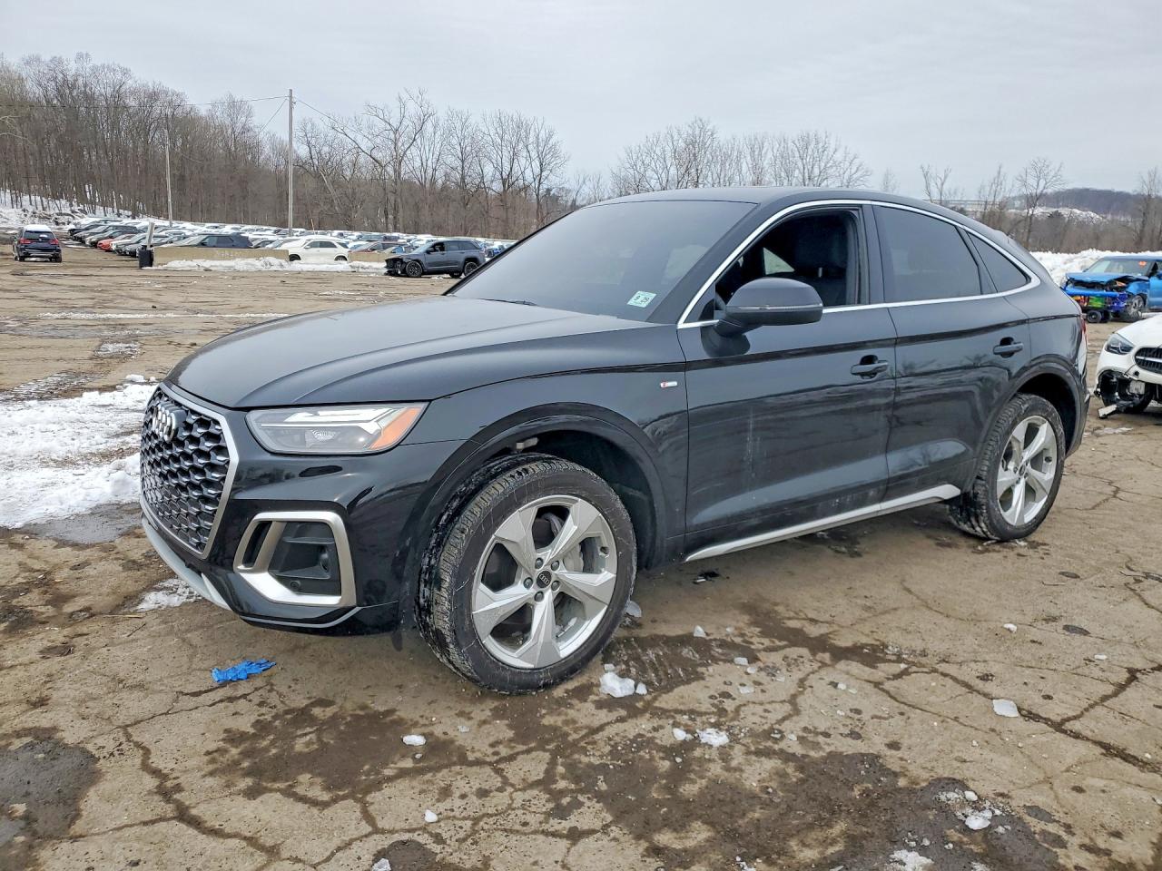 2024 AUDI Q5