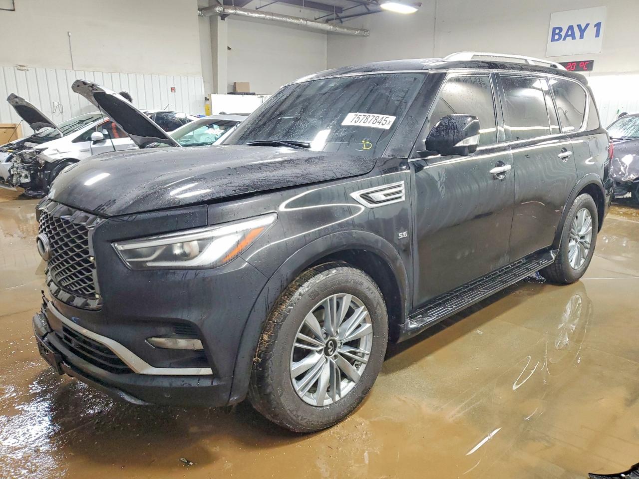 2019 INFINITI QX80