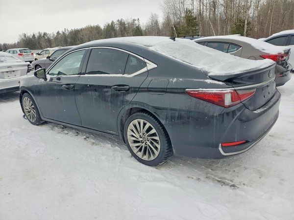 2019 LEXUS ES 300h