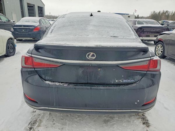 2019 LEXUS ES 300h
