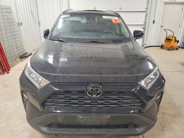 2019 TOYOTA RAV4 XLE / XLE Premium 4WD — DIRF
